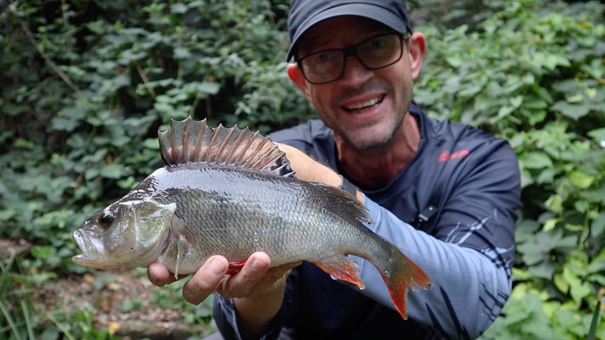 Perch Fishing