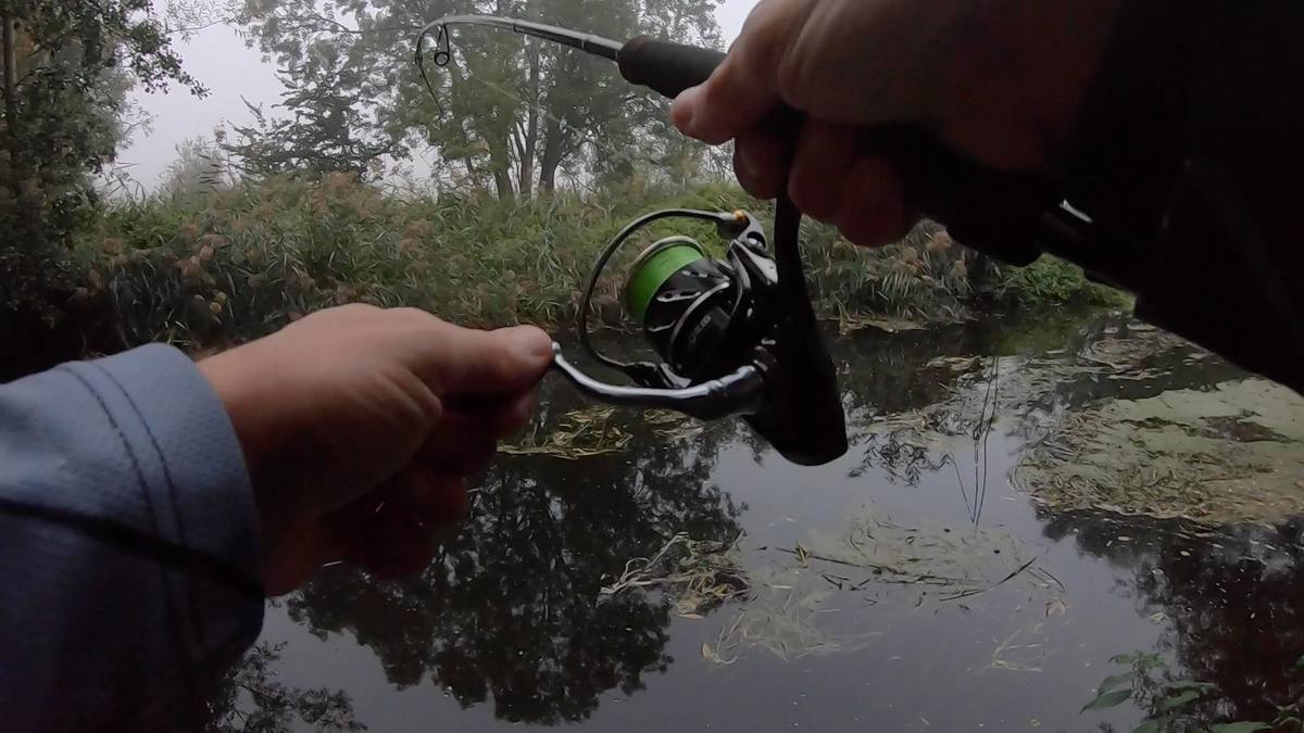 Dropshot for Perch