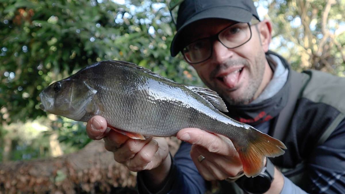 Small perch river lea