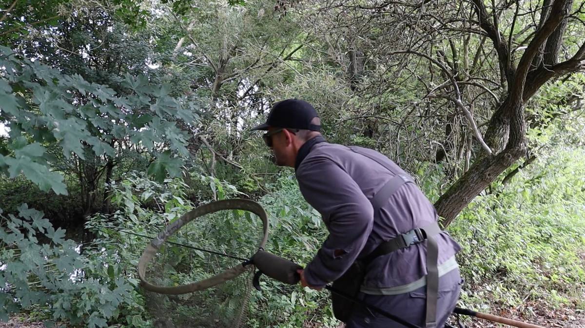 Stalking Barbel on River
