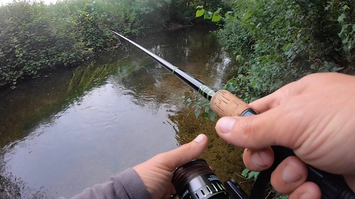 Chub Fishing Meat