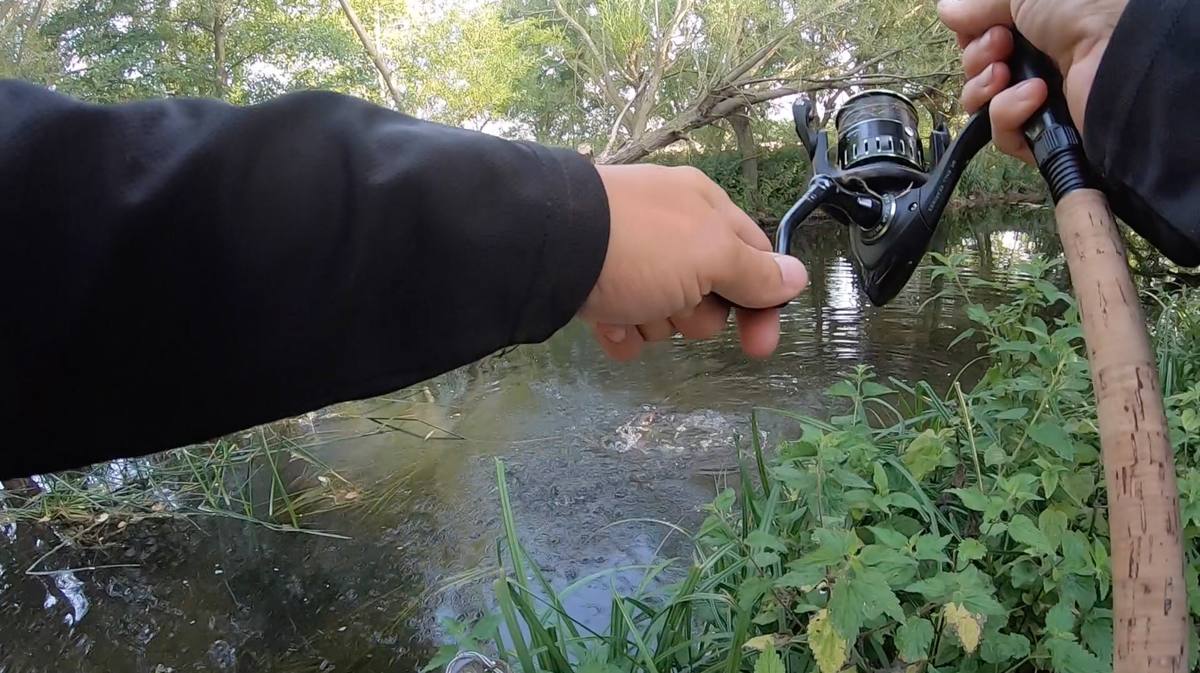 Barbel Fishing River Lea