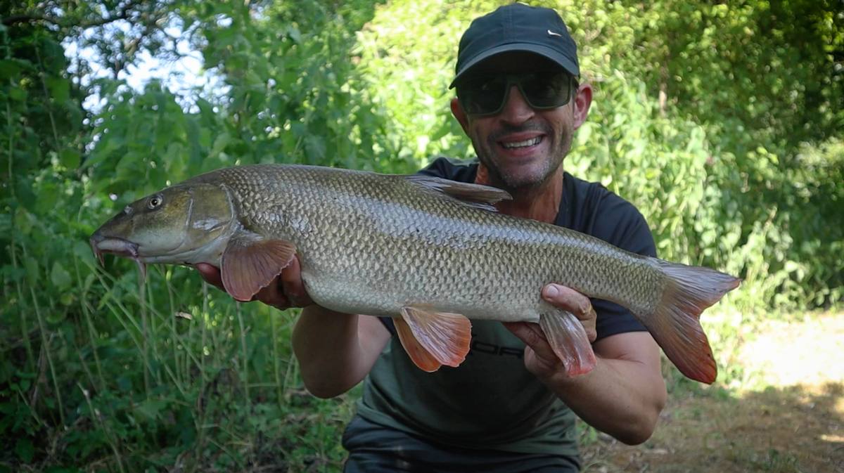Barbel Fishing Tactics