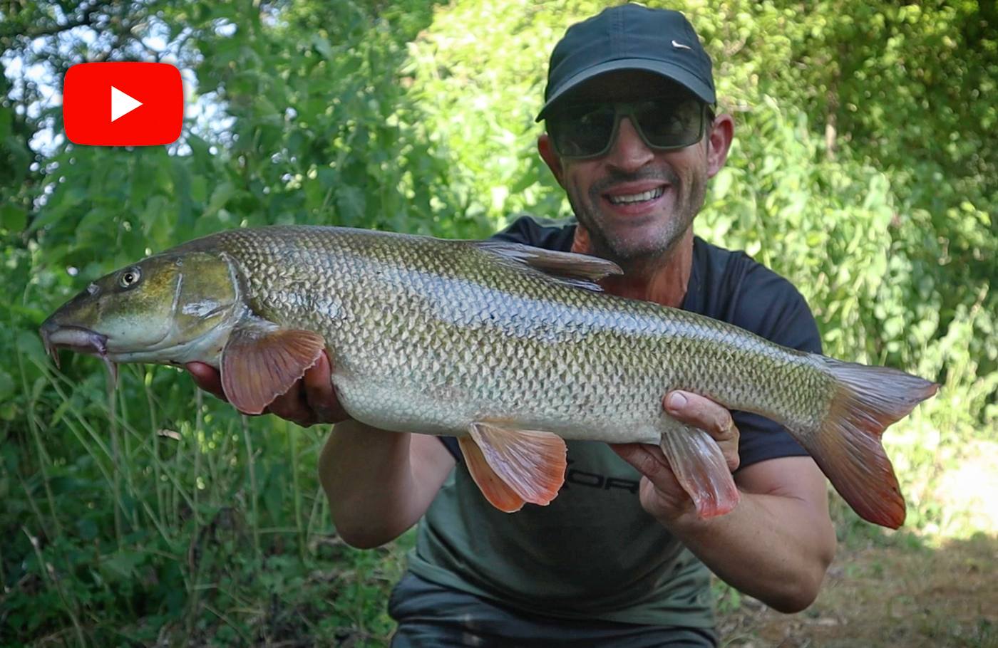 Chub and barbel fishing – catch more freelining