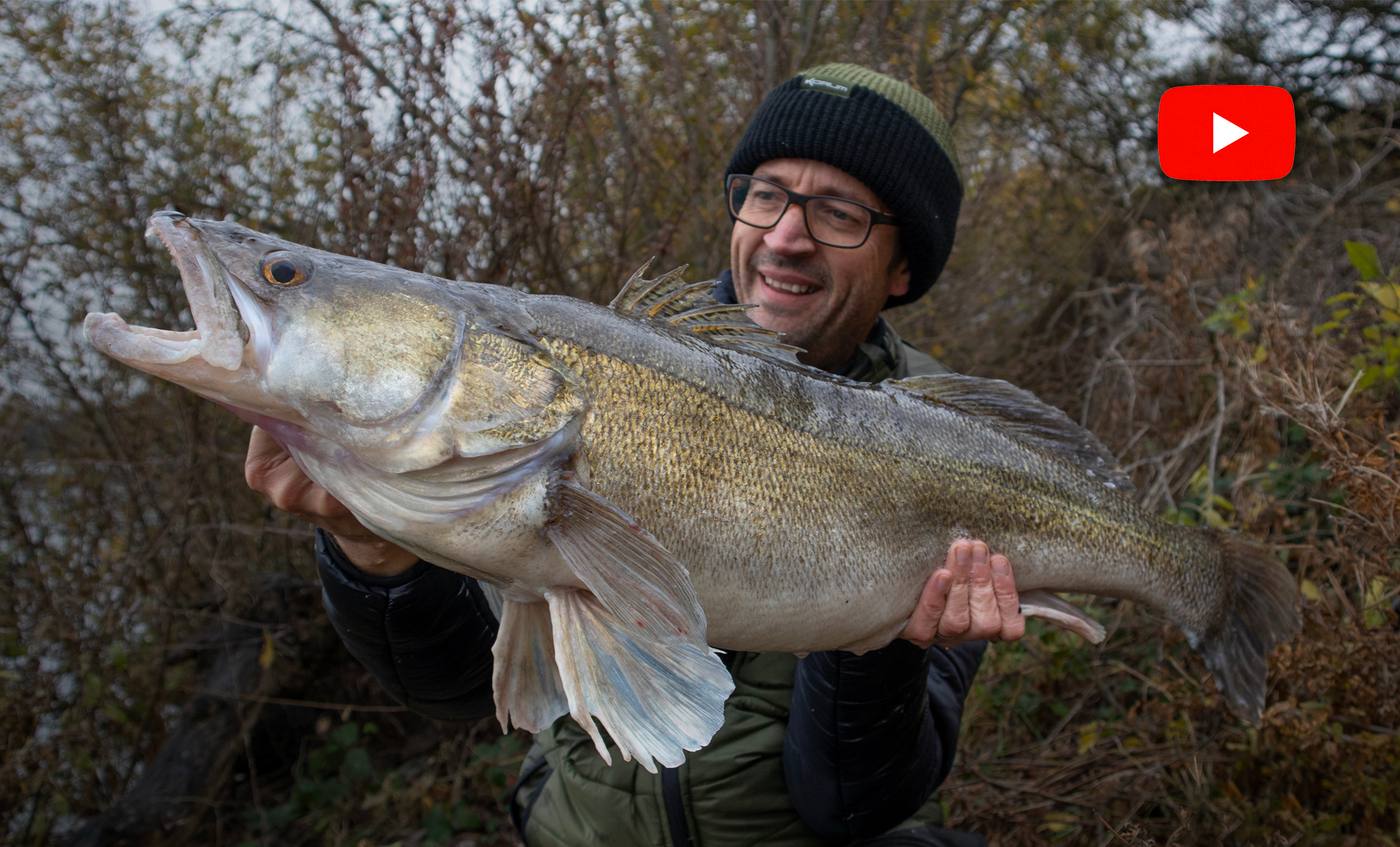 Perch and zander fishing with lures