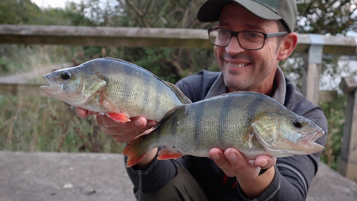 a brace of perch