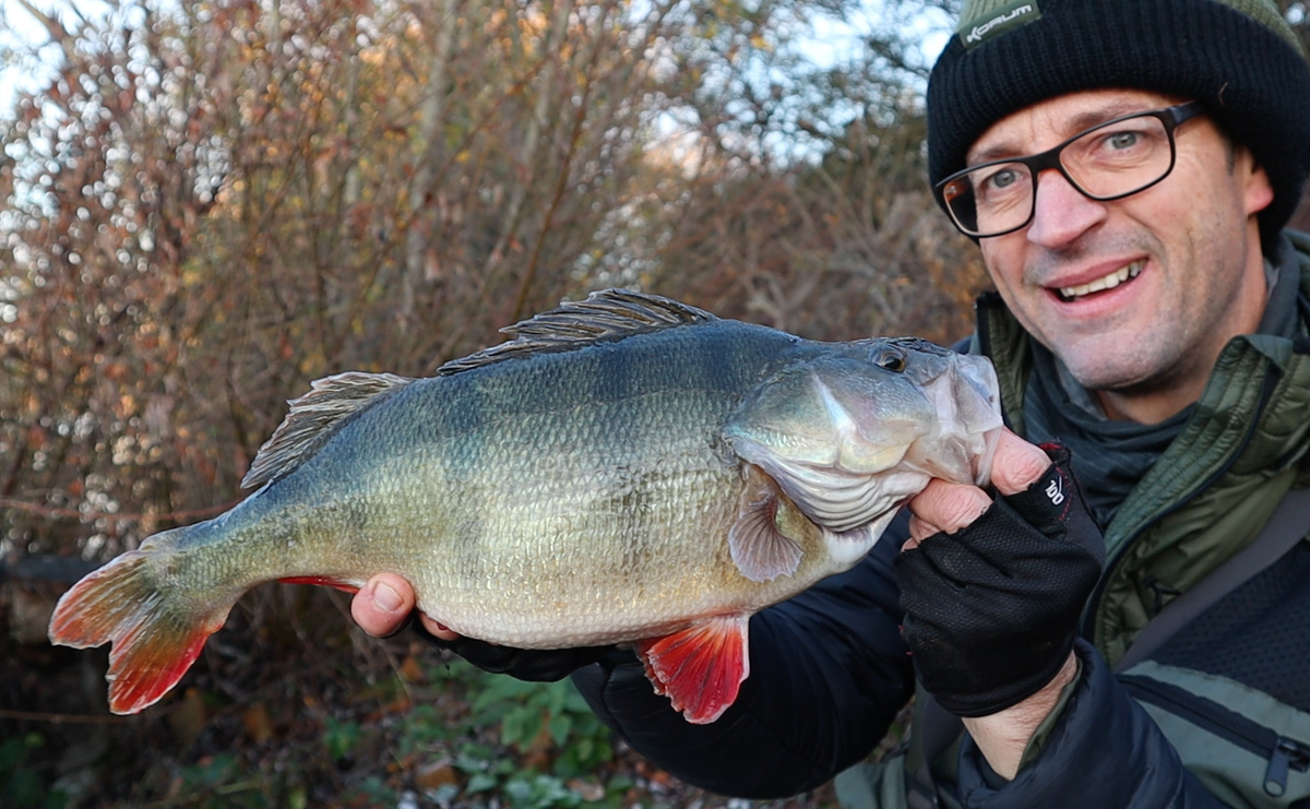pop up bait