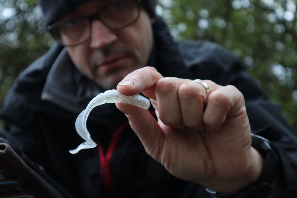 White perch lures in coloured water