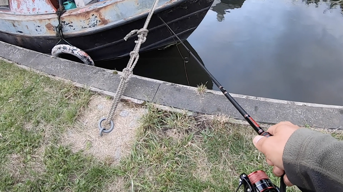 Catch summer carp with surface baits