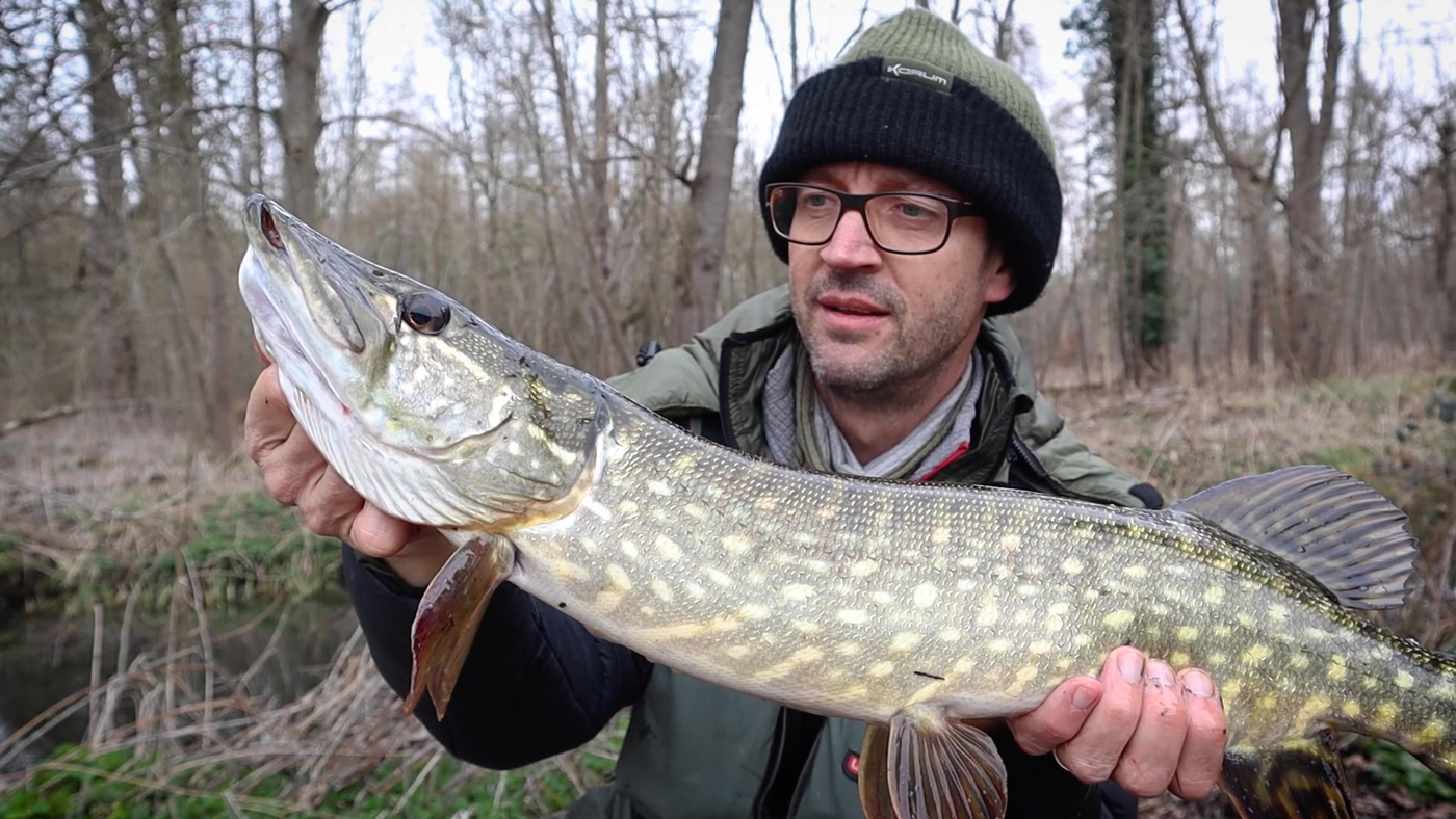 Big river pike hunt with lures (Part 2)