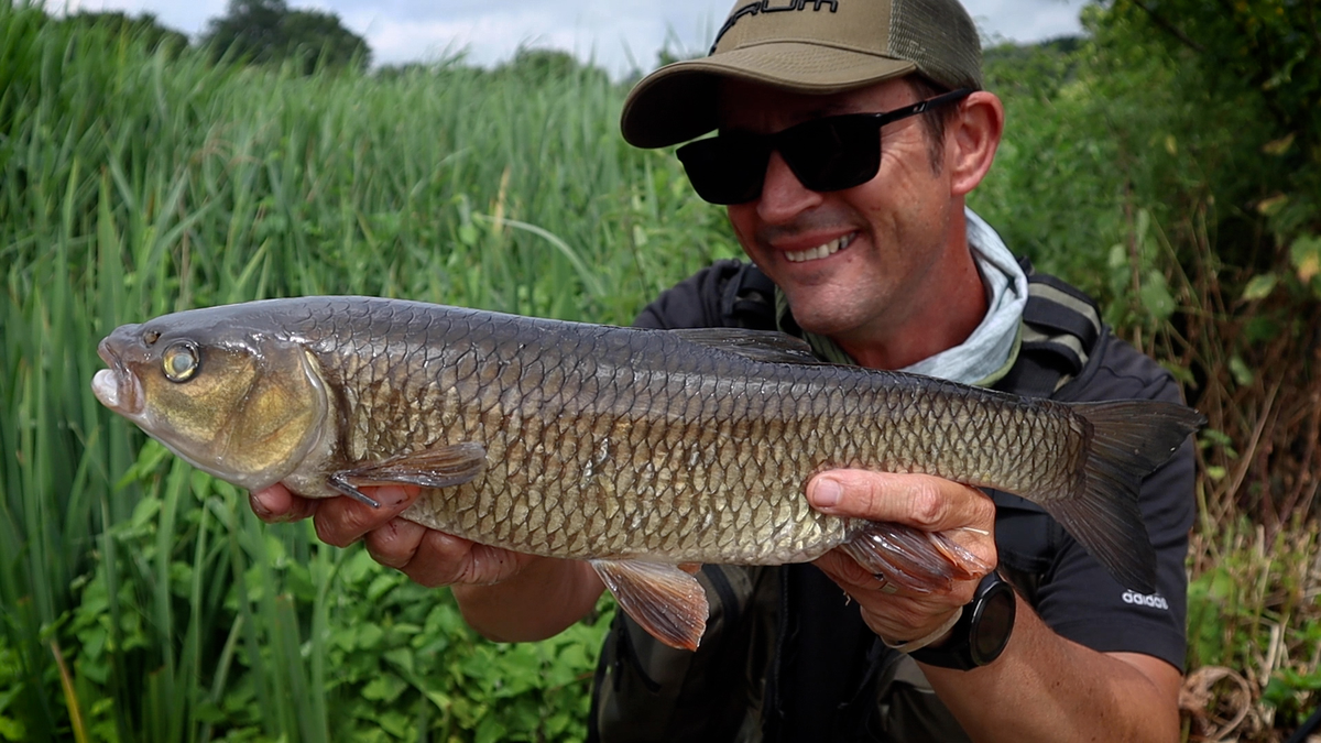 Chub and barbel fishing on small rivers