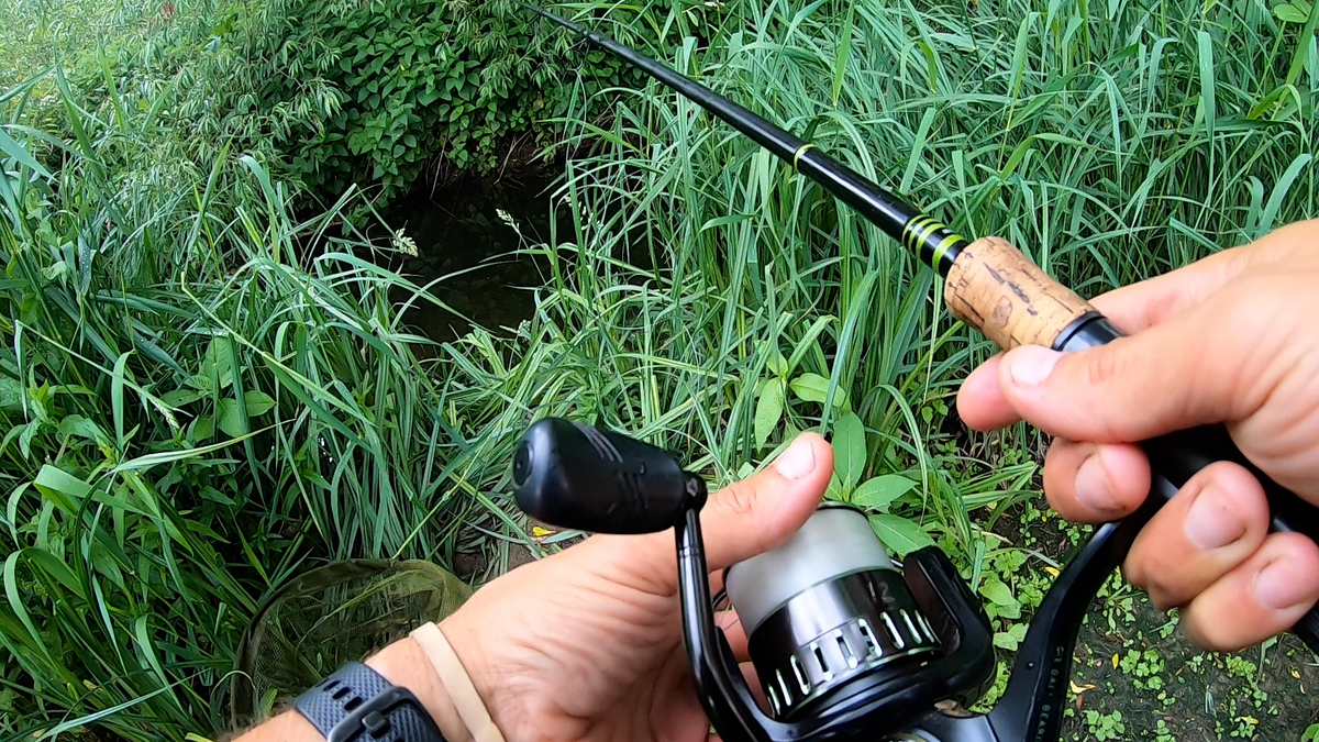 Chub and barbel fishing on small rivers