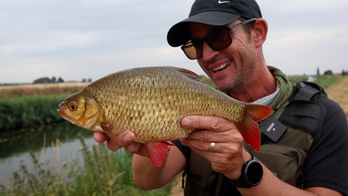 Catch big rudd on the Fens