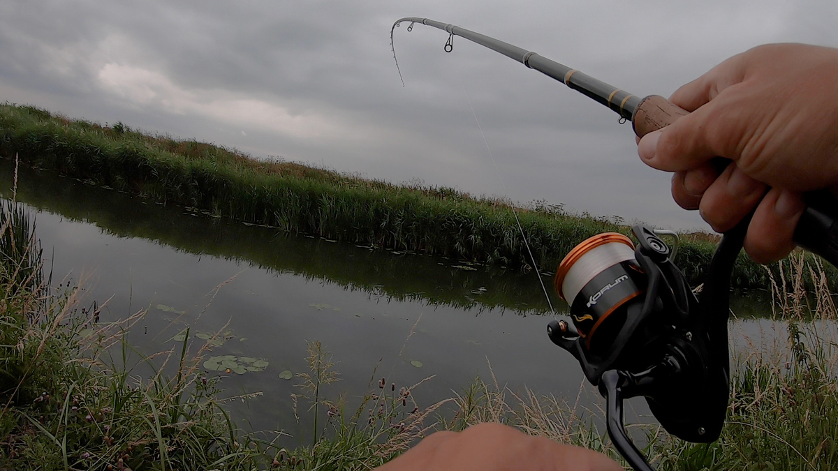 Catch big rudd on the Fens