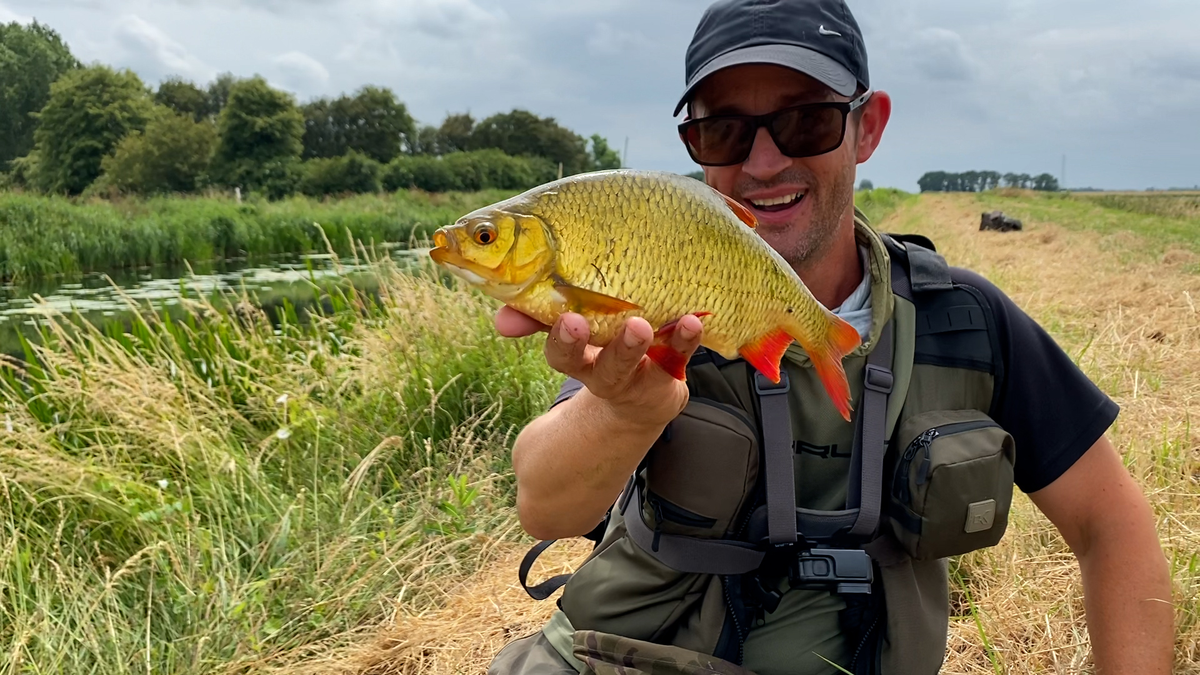 Catch big rudd on the Fens