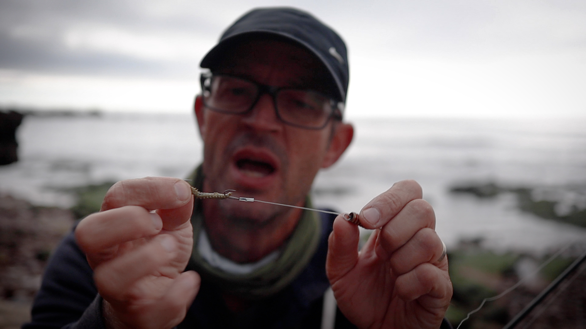 Catch mullet on perch fishing gear