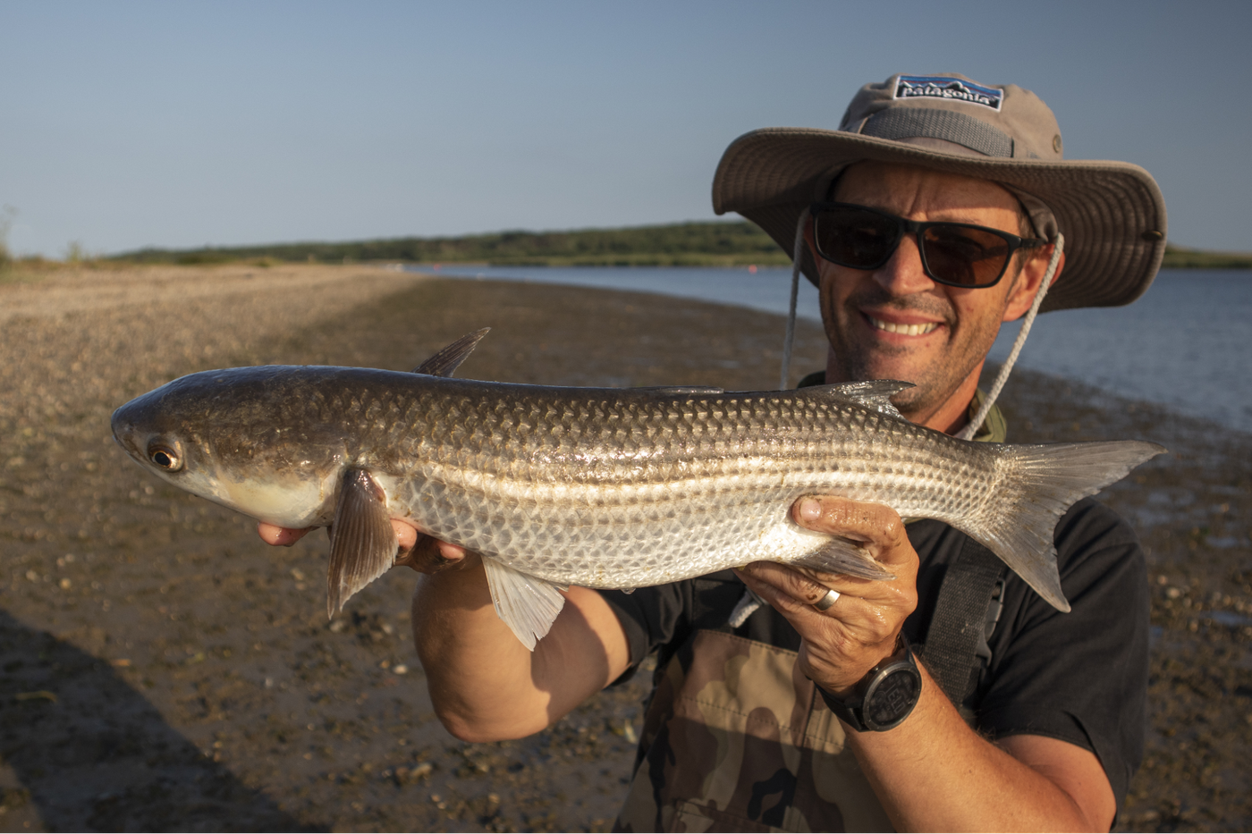 How to catch mullet on perch fishing gear