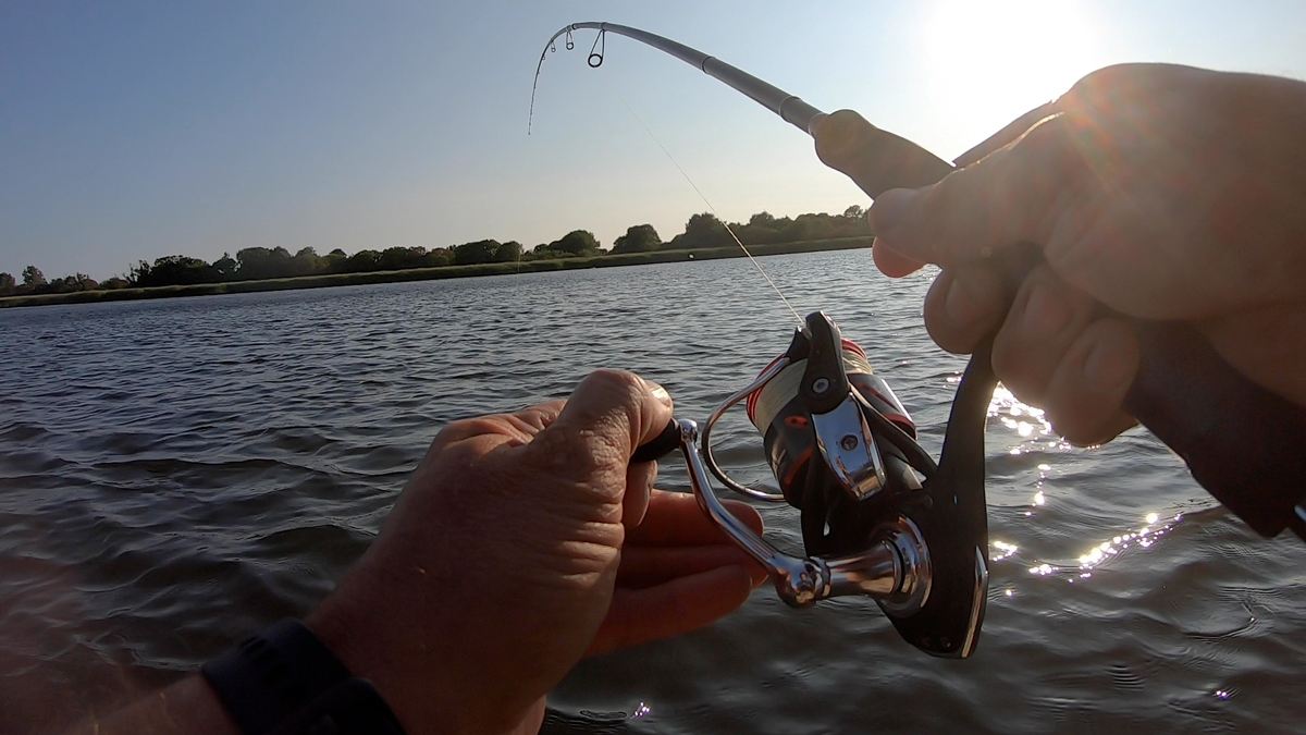 Catch mullet on perch fishing gear