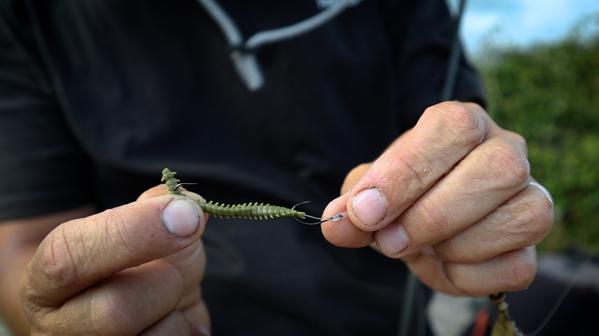 Catch mullet on perch fishing gear