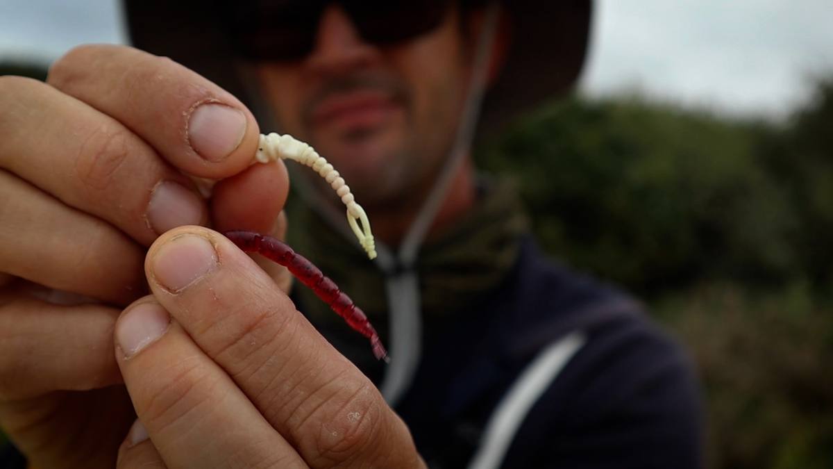Wrasse fishing dorset