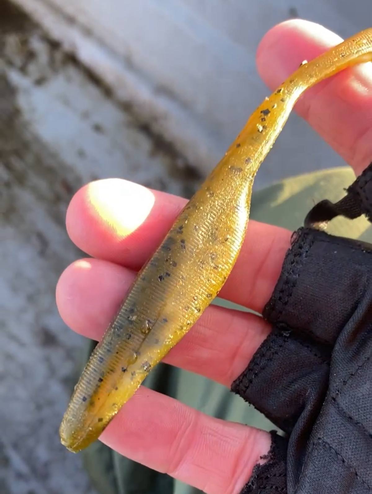 Reservoir Perch Fishing