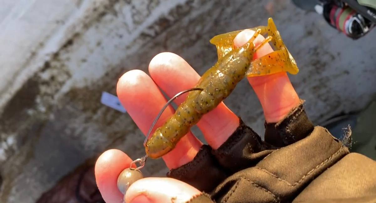Reservoir Perch Fishing