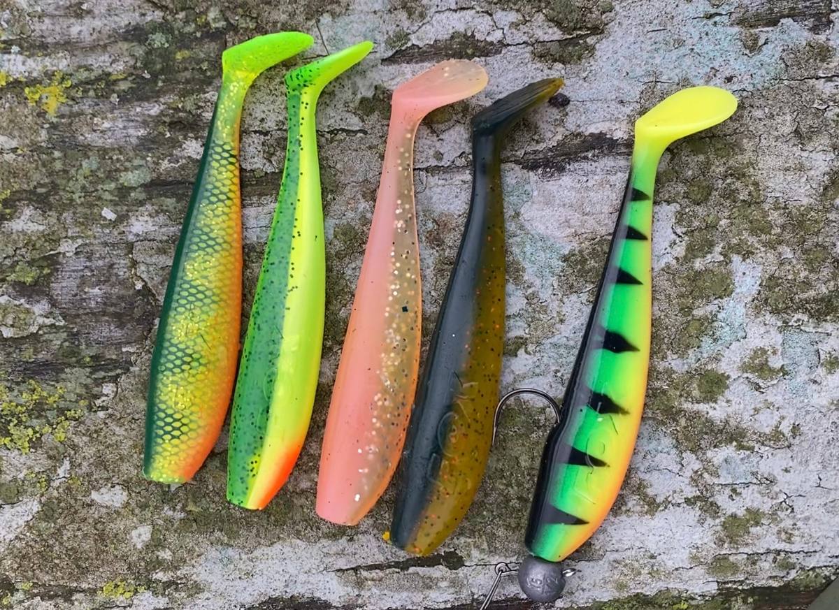 Fox rage Zander pro shad