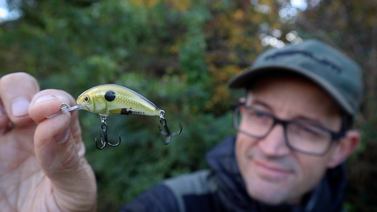 Salmo Rattlin Hornet