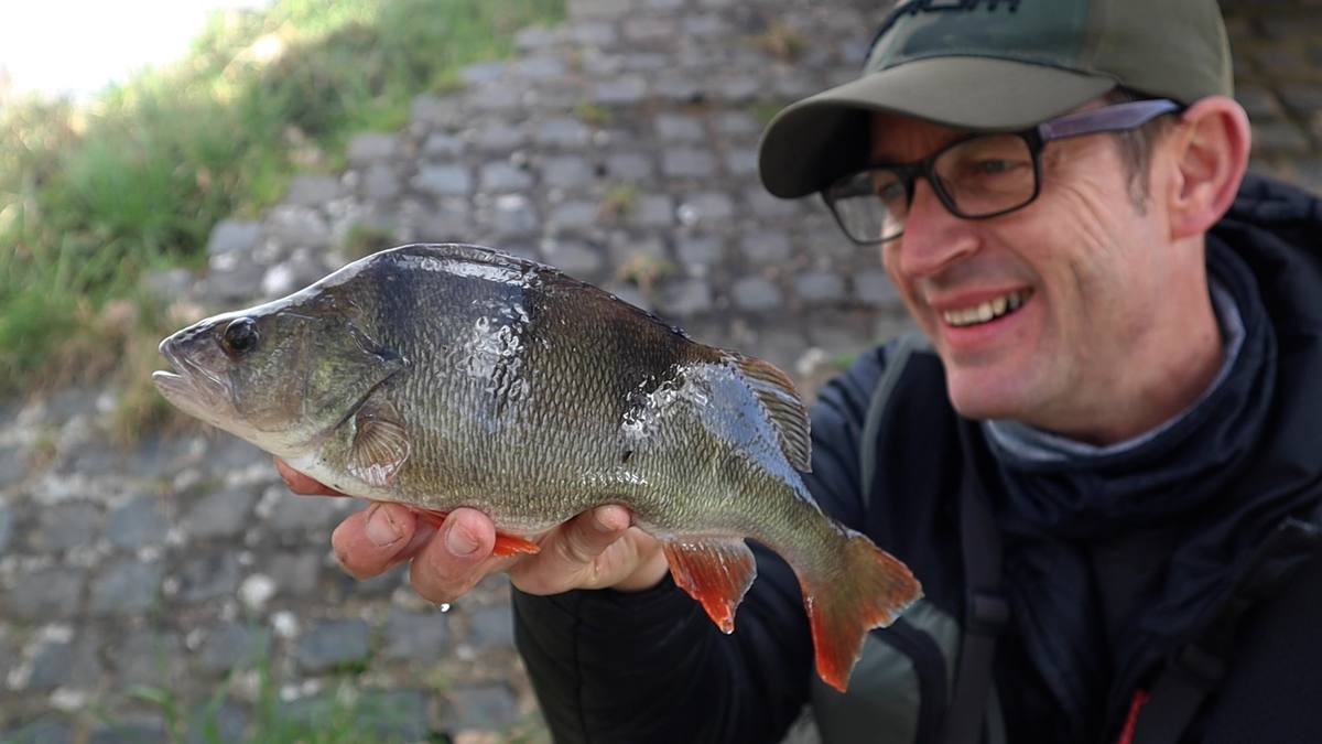 perch fishing on the canal