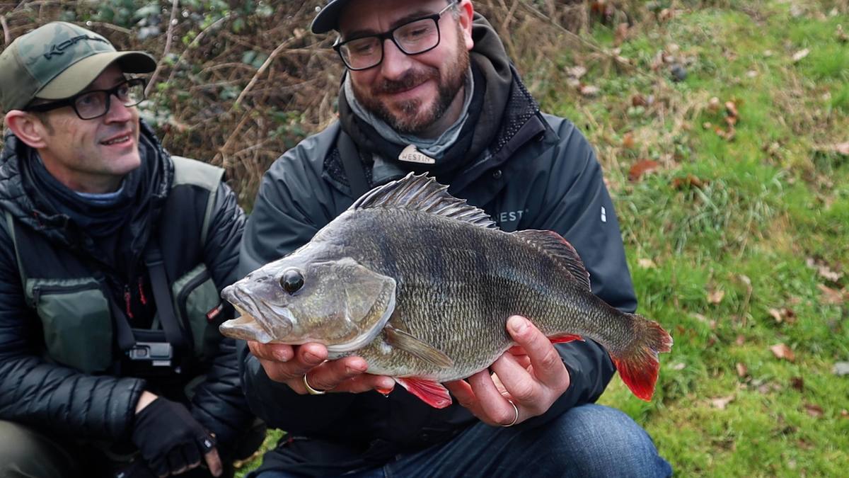 Thom Hunt big perch tips