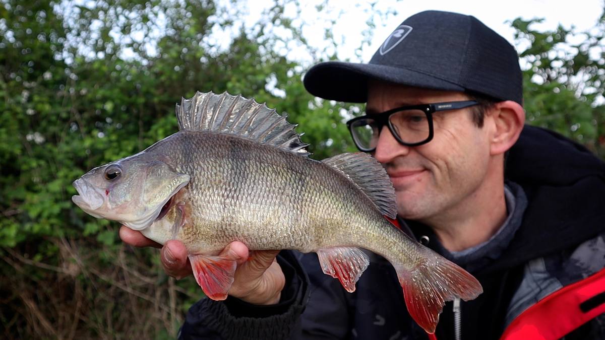 perch fishing grand union canal