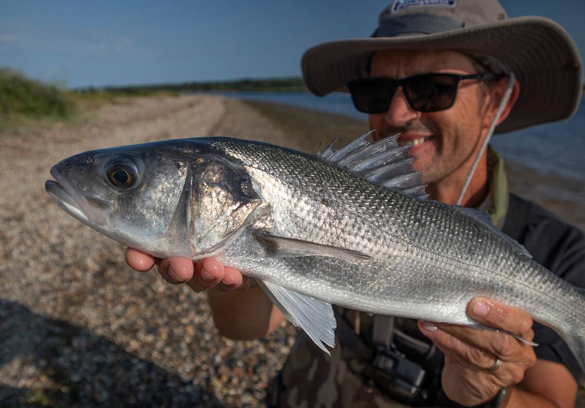bass fishing christchurch