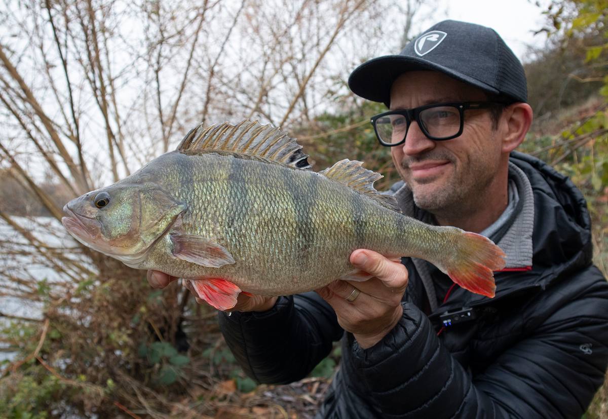 Fox Rage Slick Shads