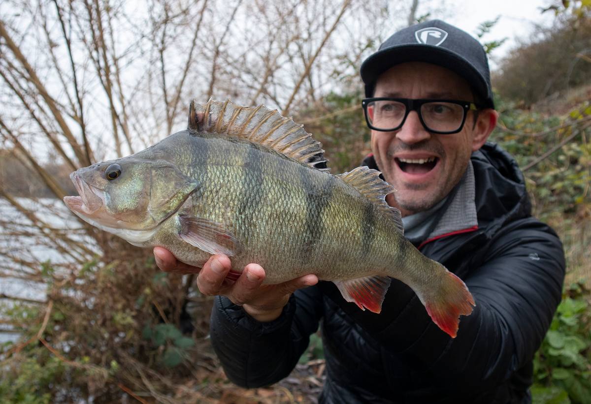 Perch fishing in lakes uk