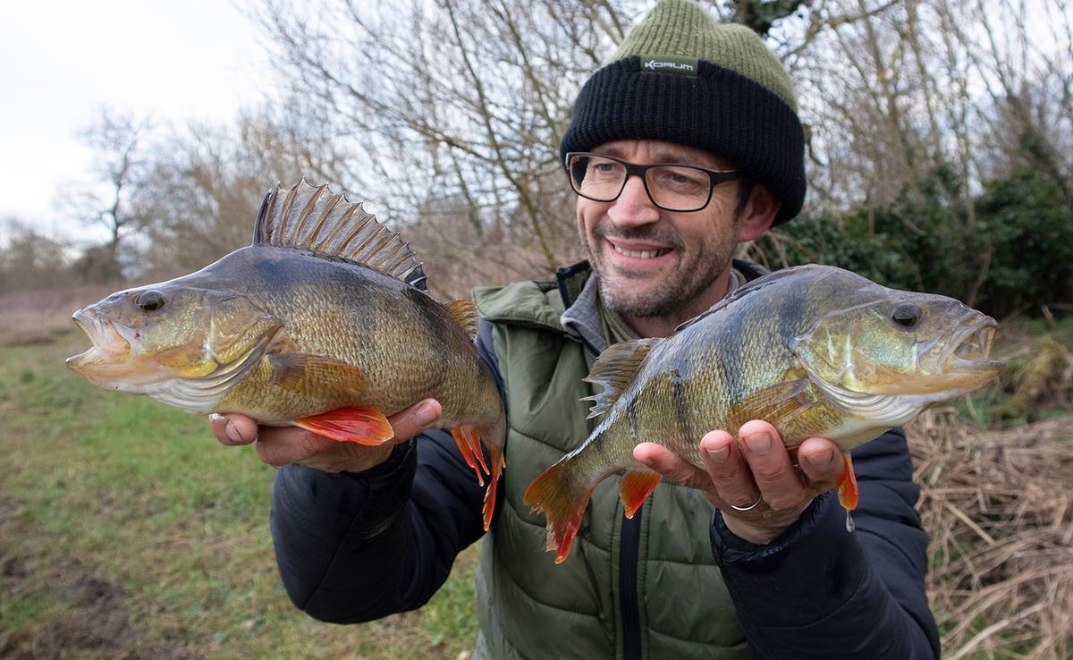 Ned Rig for Perch