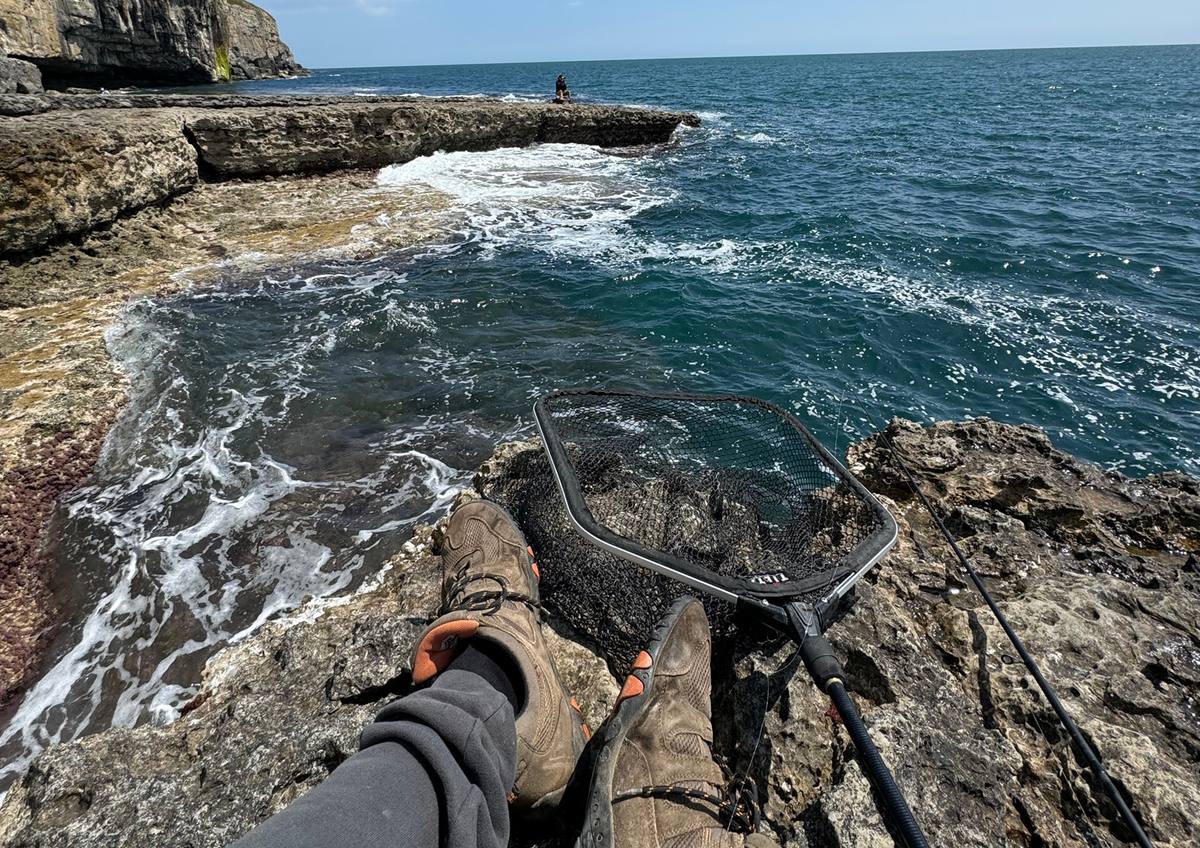 dorset sea fishing