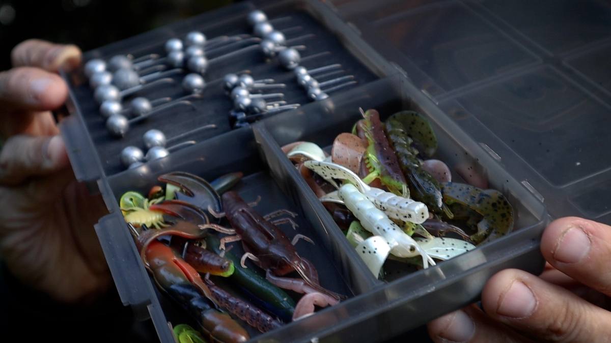 perch fishing with creature baits