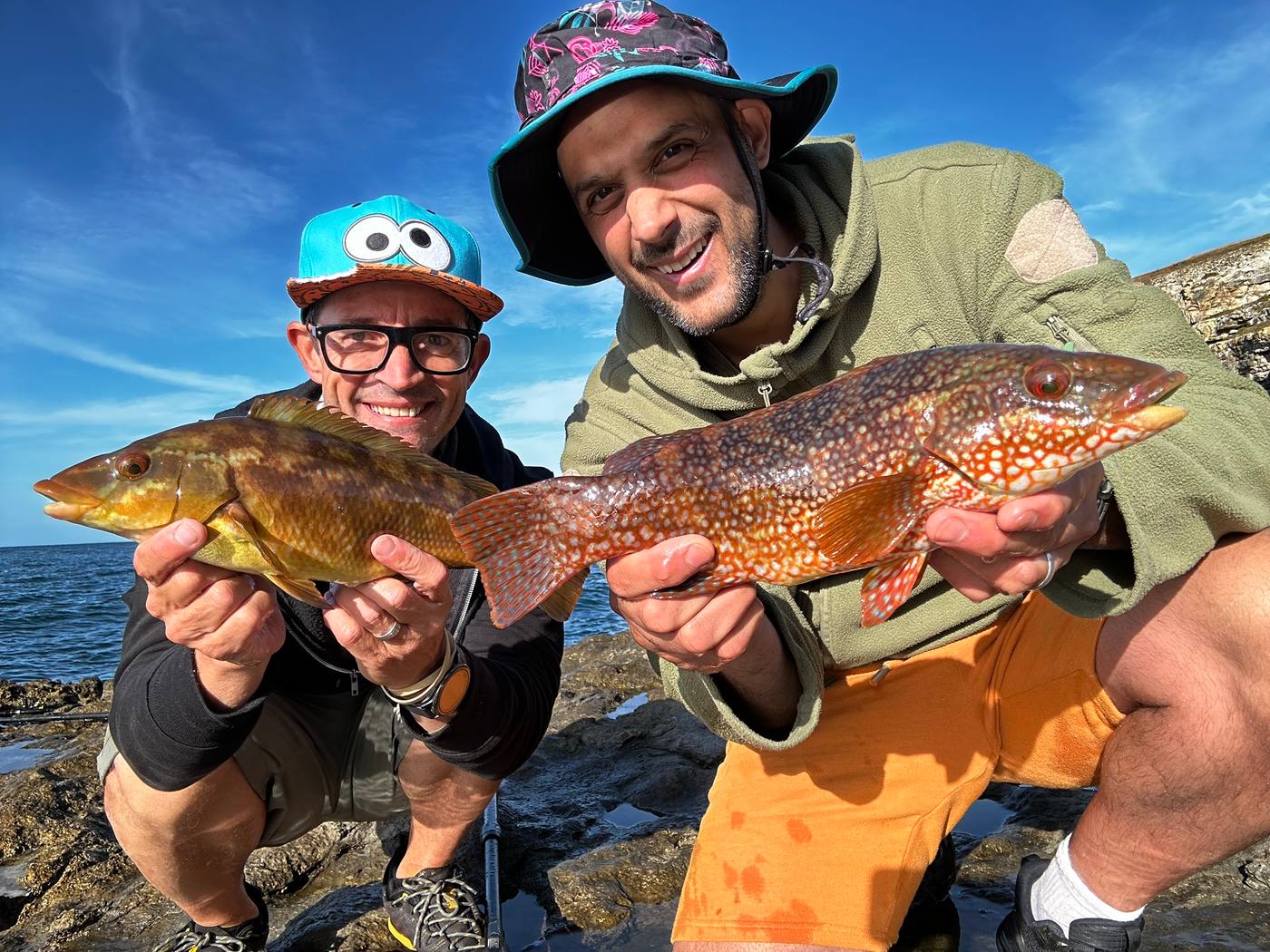 Wrasse Fishing Dorset Adventures