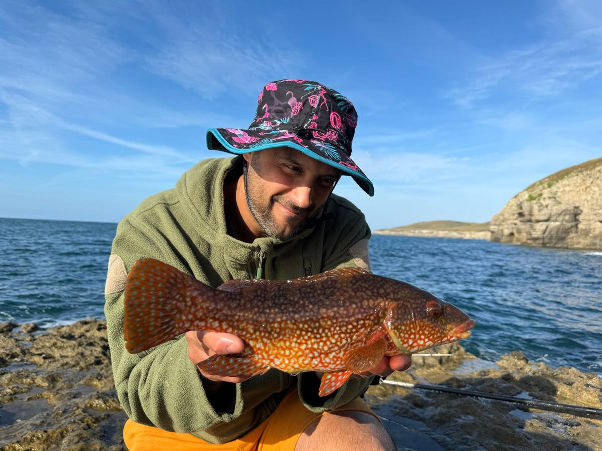 big wrasse fishing in dorset