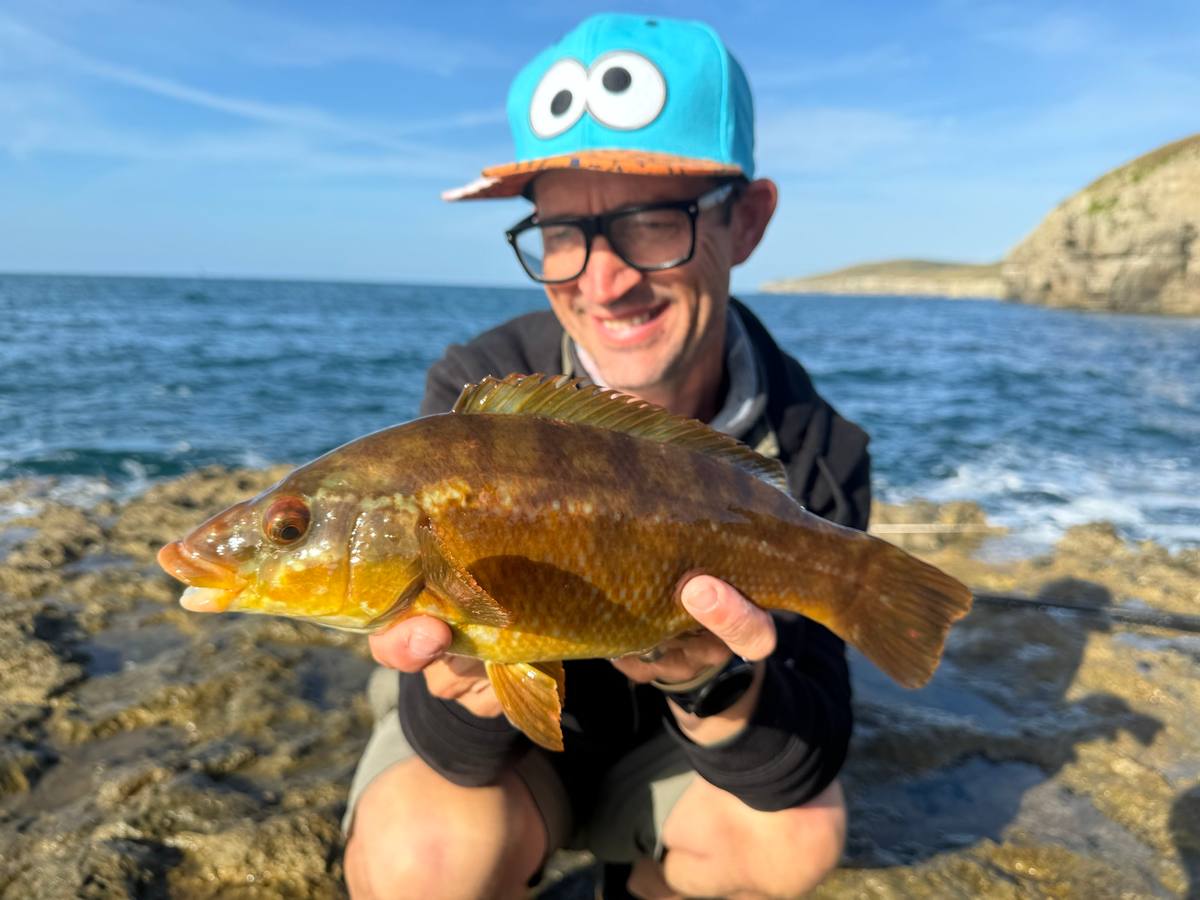 wrasse fishing spots in dorset