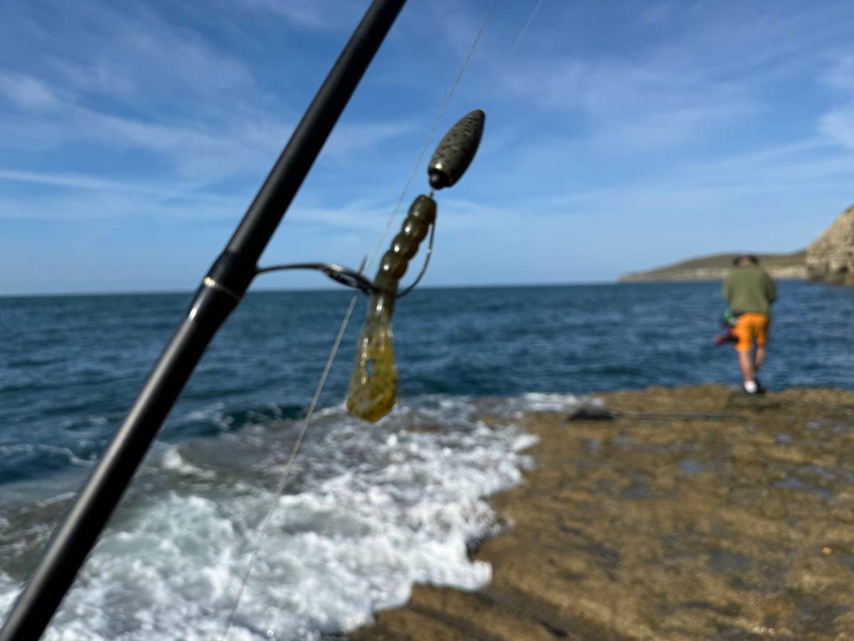 lure fishing for wrasse