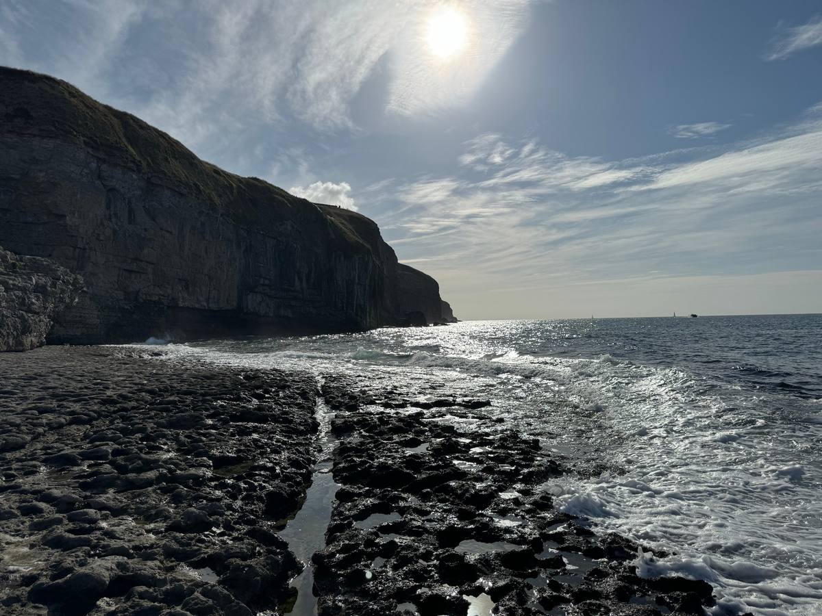 rock fishing dorset