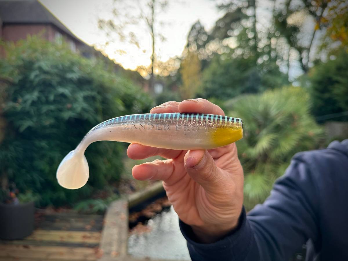 Zander Pro Shad in Silver Halo