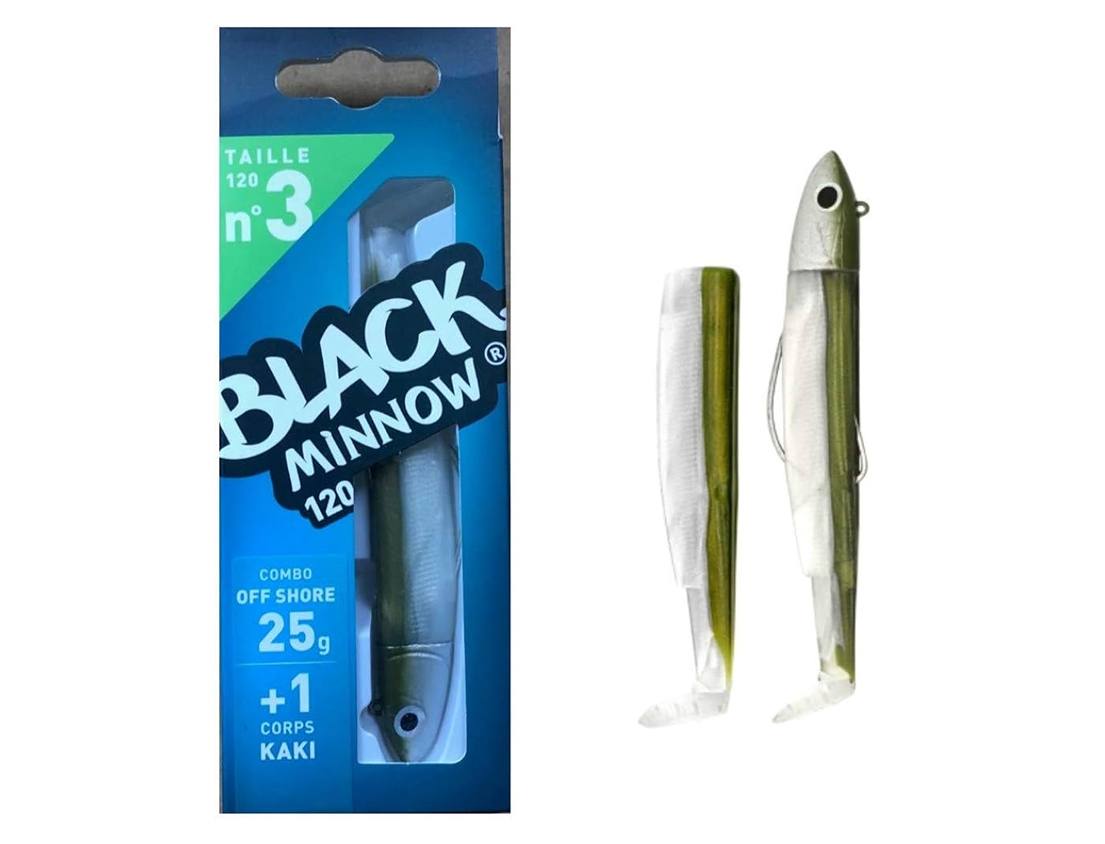 fiiish black minnow