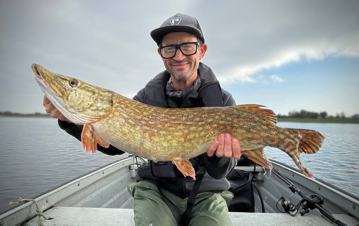 Fox Rage Zander Pro Shad