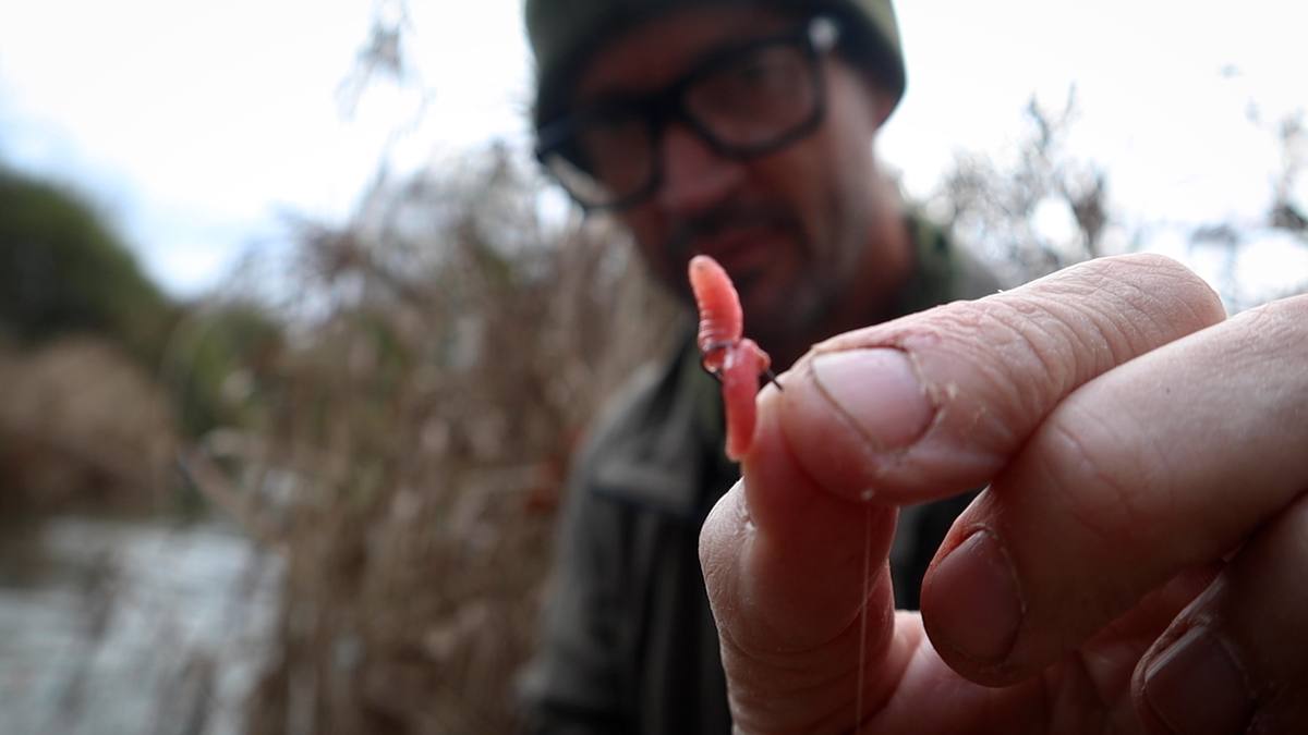 best bait for grayling
