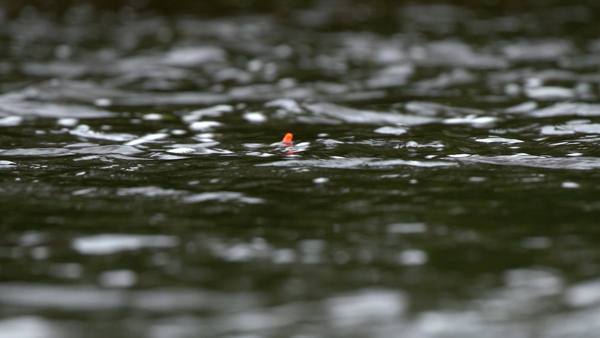 trotting for grayling