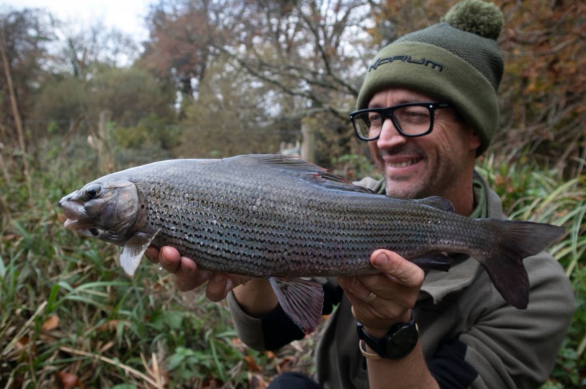 Big River Frome Grayling