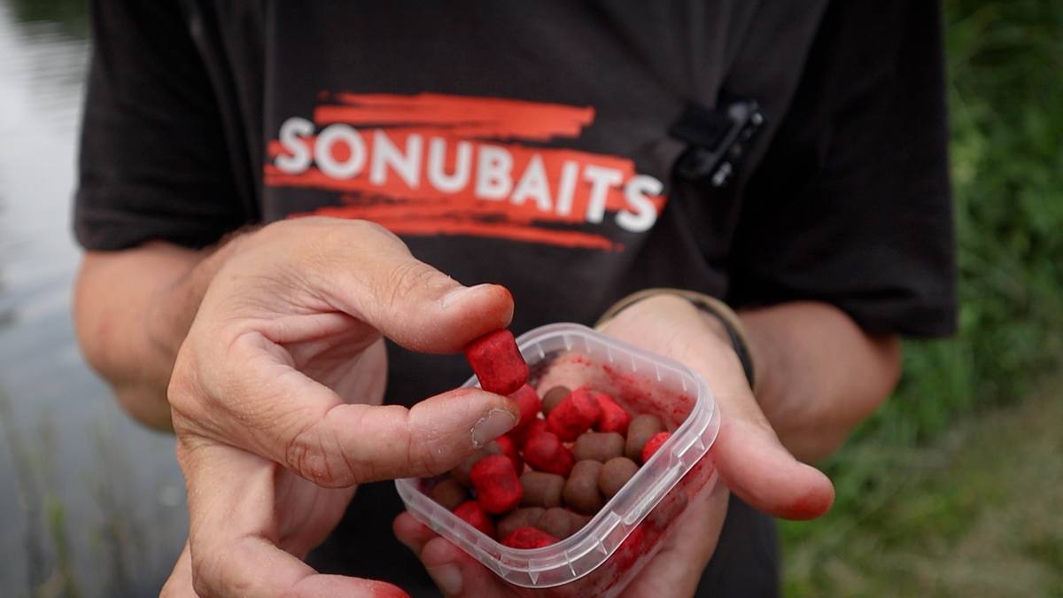 Fishing for Carp in Summer