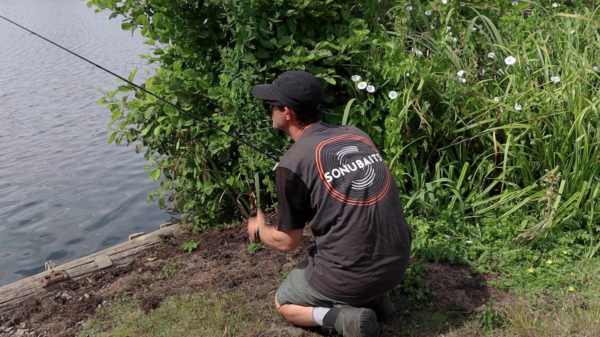 Stalking carp nick marsh